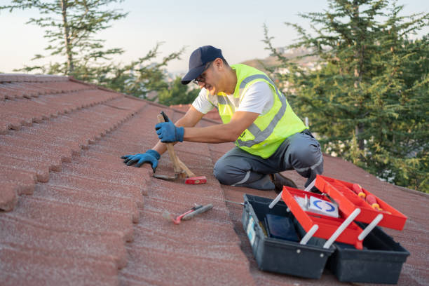 Best Roofing Contractor Near Me  in Omro, WI