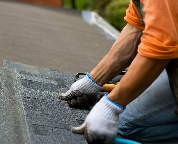 Best Roof Maintenance Services  in Omro, WI
