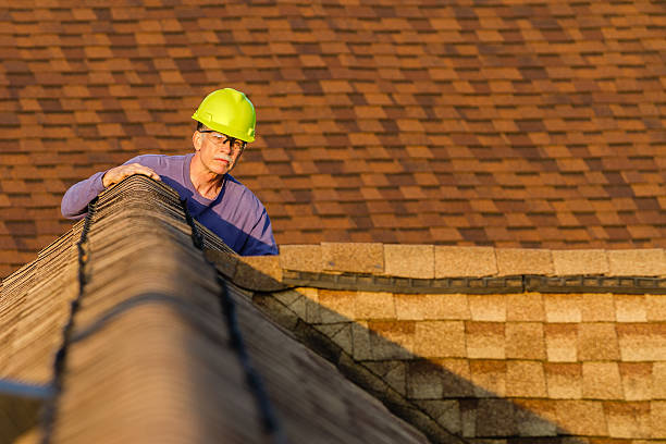 Best Metal Roofing Contractor  in Omro, WI