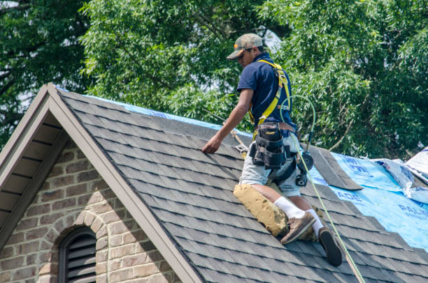 Best Roof Restoration Services  in Omro, WI